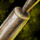 Hearty Chef's Tools.png