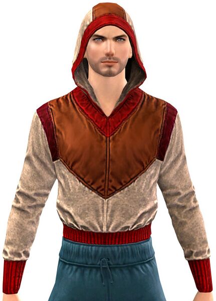 File:Hooded Windbreaker (Up).jpg