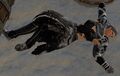 Injured Pact Soldier (Norn female).jpg