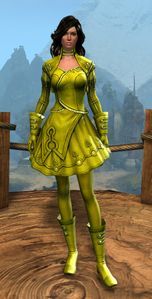 Appearance on light armor.