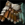 Pit Fighter Skirt.png