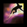 Prismatic Leap.png