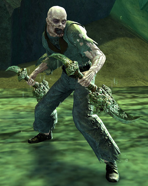 File:Risen Noble (male 1).jpg