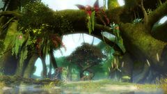 Solitaire Island.jpg