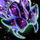 Stardrift.png