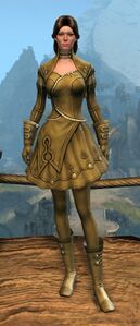 Appearance on light armor.