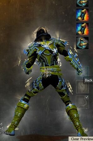 Back view in combat stance