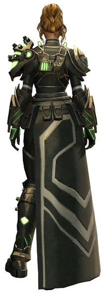File:Taimi's Outfit human female back.jpg