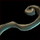 Thin Glove Strap.png