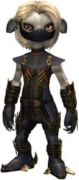 True Assassin's Guise Outfit