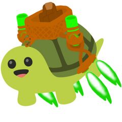 User-The Turtle Academy.jpg