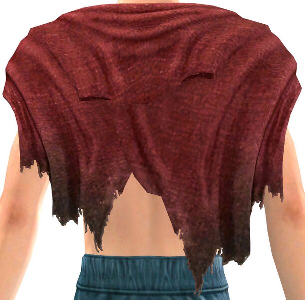 File:Vagabond's Shoulders back.jpg