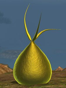 Yellow Ooze.jpg