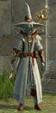 Astral Ward Mage sylvari male 5.jpg