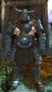 Bjain Ironhelm.jpg