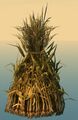 Bundle of Corn Stalks.jpg