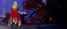 Celestial Ministry Cape (package) banner.jpg