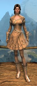 Appearance on light armor.