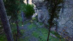 Island of Cognizance.jpg