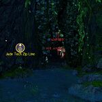 Lighting Echovald location 26.jpeg