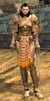 Mercenary human female heavy 4.jpg