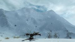 Ossterkin Sharpshooting Range.jpg