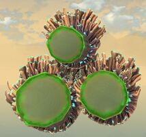 Underwater Anemone bottom.jpg