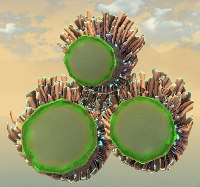 File:Underwater Anemone bottom.jpg