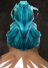 Unique norn male hair back 13.jpg