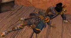 Wounded Sunspear (female).jpg