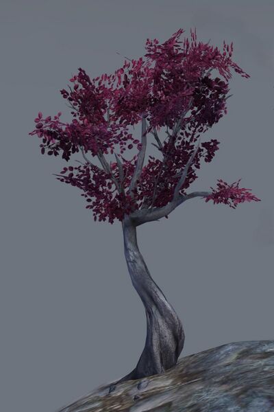 File:Ancient Spiderknot Tree.jpg