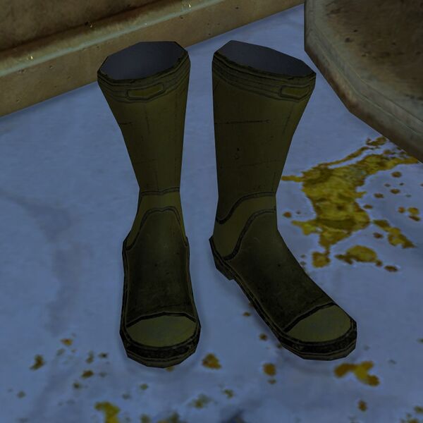 File:Boots (The Wizard's Tower).jpg