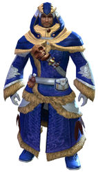 Cabalist armor norn male front.jpg