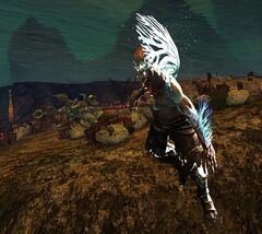 Champion Orrian Terror.jpg