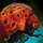 Child's Toy.png
