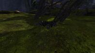 Soldier 3 — Near the fallen tree.