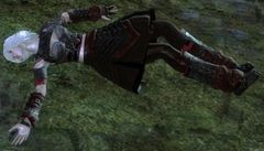 Dead bandit.jpg