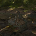 Thumbnail for version as of 14:38, 11 March 2016