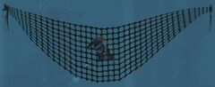 Krait Net.jpg