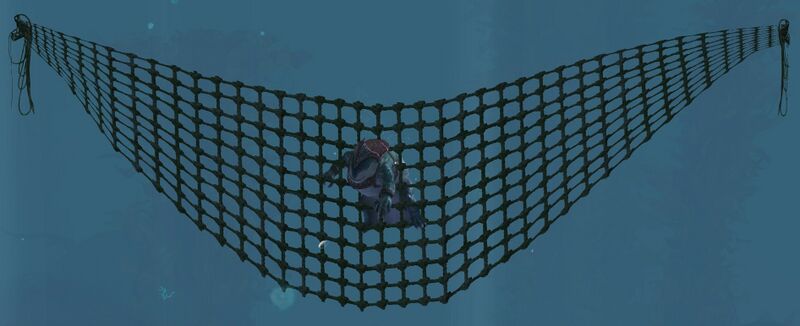 File:Krait Net.jpg