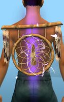 Lightning Catcher.jpg