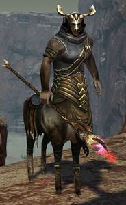 Maguuma Shaman.jpg