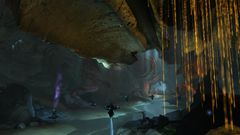 Rata Novus Lane.jpg