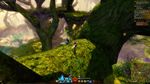 Skyscale Egg 17.jpg
