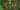 The Hollow map.jpg