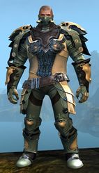 Triumphant armor (medium) norn male front.jpg