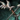 Trosa's Short Bow