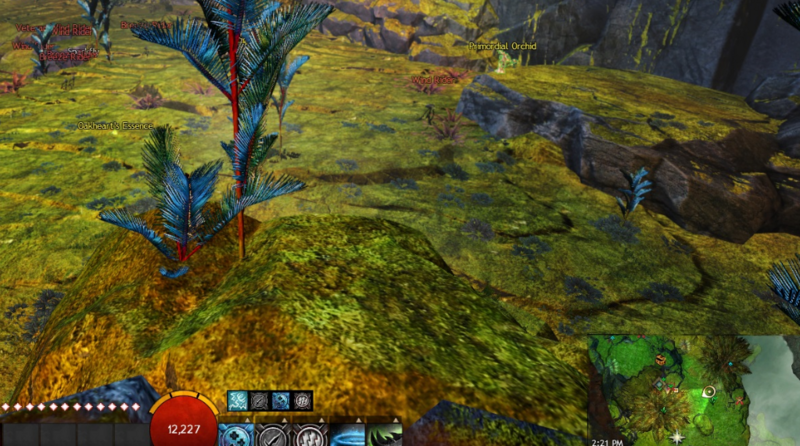 File:User Rainspell Breezerider spawn.PNG