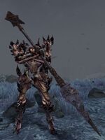 Avatar of Malice (rider).jpg