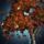 Elder Wood Logging Node.png